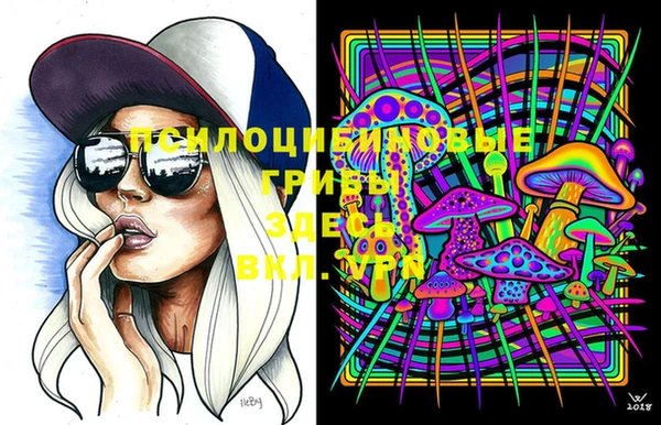 винт Абинск