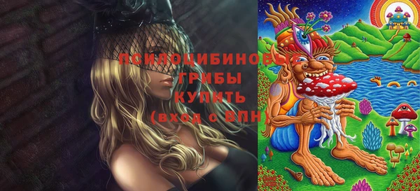 дурь Покровск