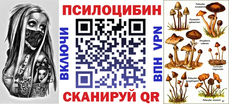 Псилоцибиновые грибы Magic Shrooms  где найти   shop состав  Кимовск 