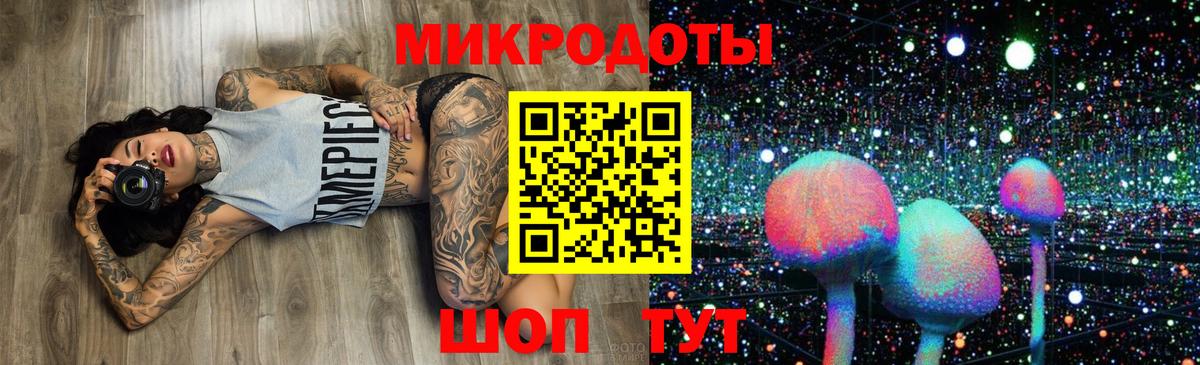 Псилоцибиновые грибы Psilocybine cubensis Кимовск